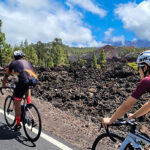 Mount Teide South Side Excursion En Bici De Carretera En Tenerife Bike Point Tenerife Bike Hire & Bike Rental