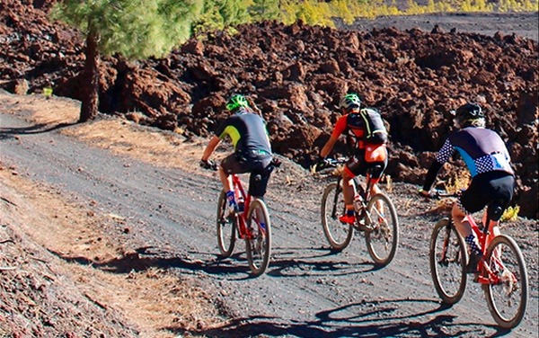 Mtb Tour Chinyero Intro Bike Point Tenerife Bike Hire & Bike Rental