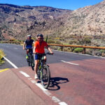 Tenerife East Coast Bicieta Electrica Excursion Bike Point Tenerife Bike Hire & Bike Rental