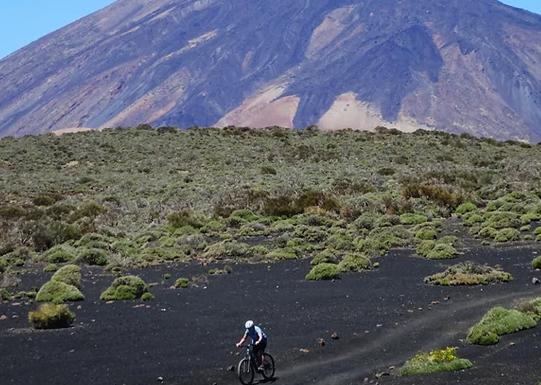 Villa Flor Off Road Mtb E Mtb Bike Tour 3 Bike Point Tenerife Bike Hire & Bike Rental