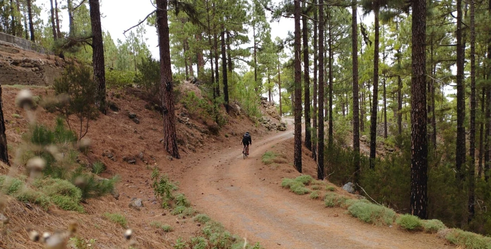 El Lagar Gravel Tour Bike Point Tenerife Gravel Tours 6 Bike Point Tenerife Bike Hire & Bike Rental