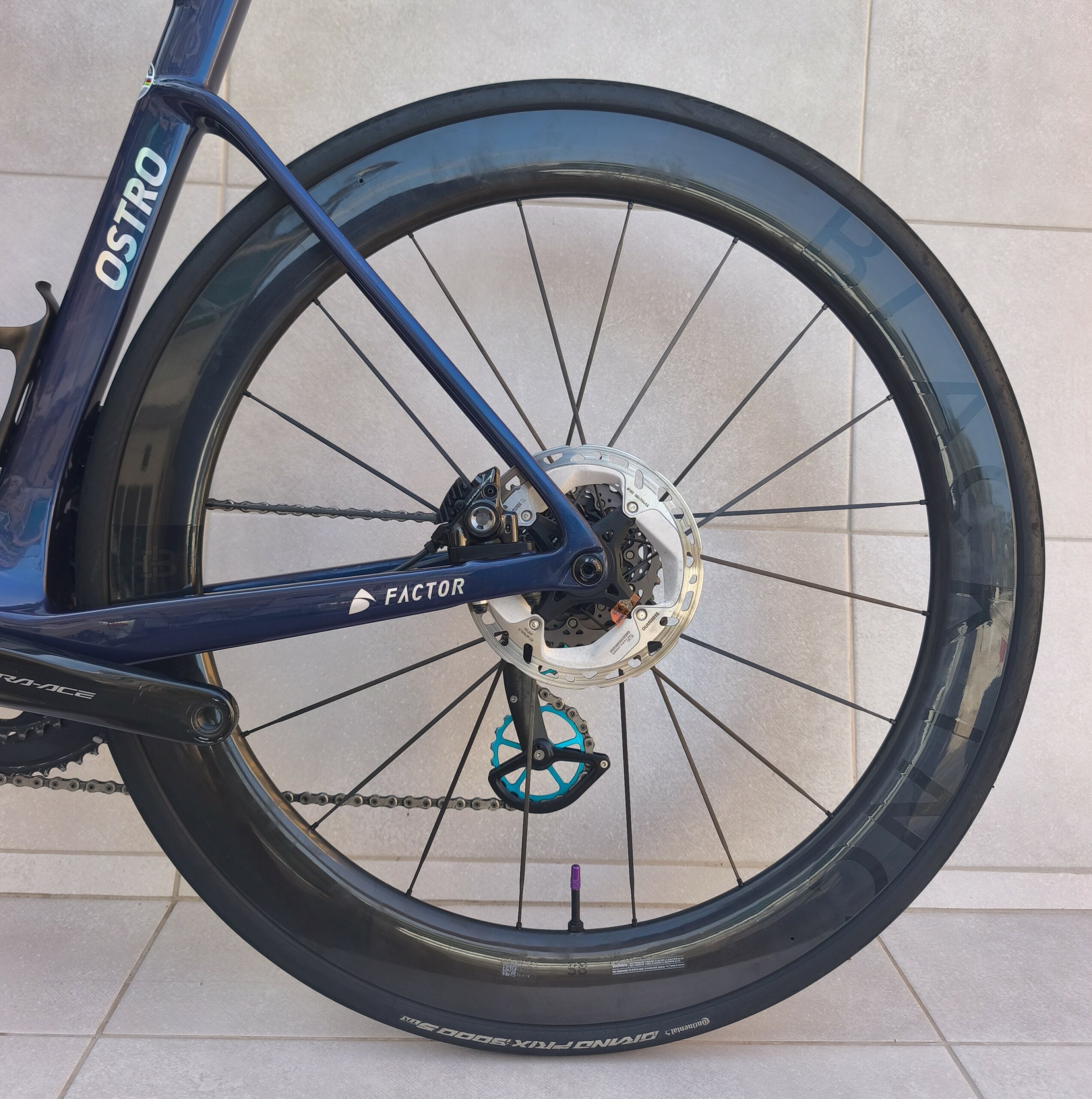 1000203526 Bike Point Tenerife Bike Hire & Bike Rental