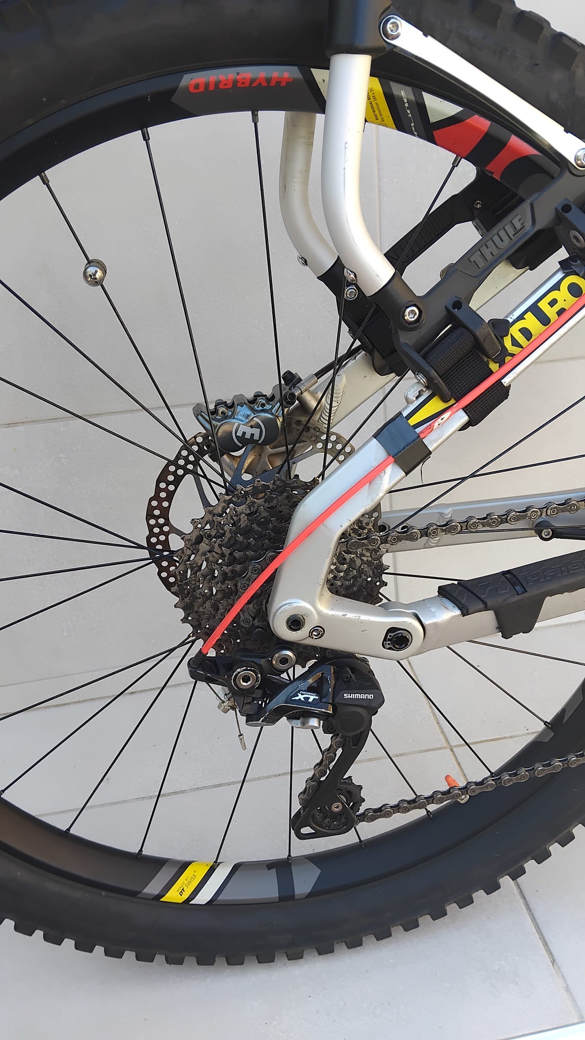 Whatsapp Image 2025 09 11 At 14.56.04 (1) Bike Point Tenerife Bike Hire & Bike Rental