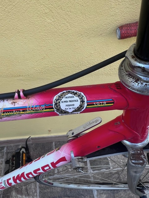 Whatsapp Image 2025 10 08 At 12.47.18 Bike Point Tenerife Bike Hire & Bike Rental