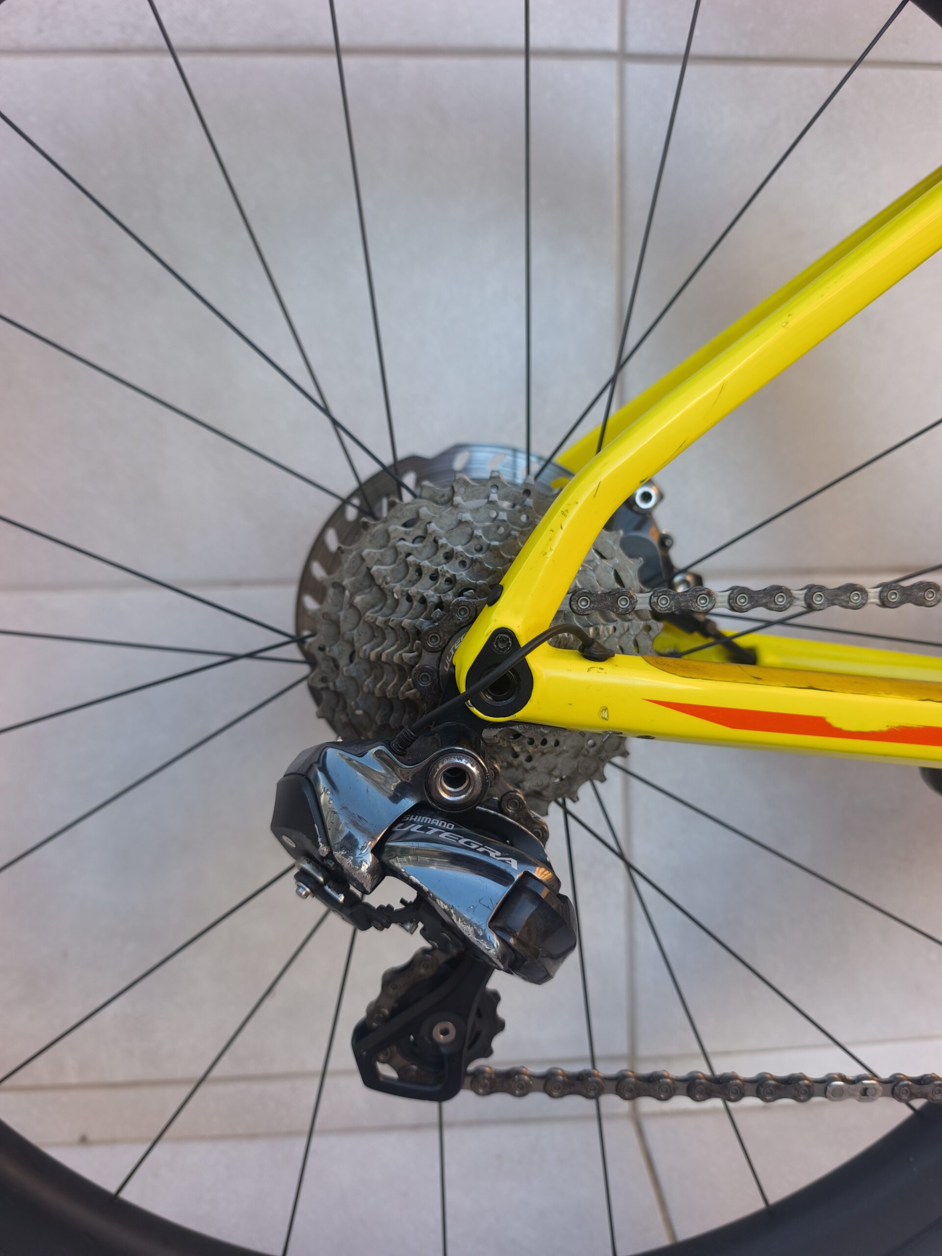 Img 20260122 093122 Bike Point Tenerife Bike Hire & Bike Rental