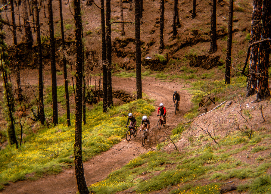 Aguita 5 Tri Ciciclos Canarias Tienda de bicicletas Santa cruz de Tenerife