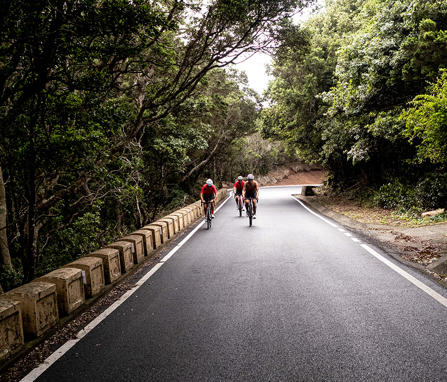 Speed Club 2 Tri Ciciclos Canarias Tienda de bicicletas Santa cruz de Tenerife