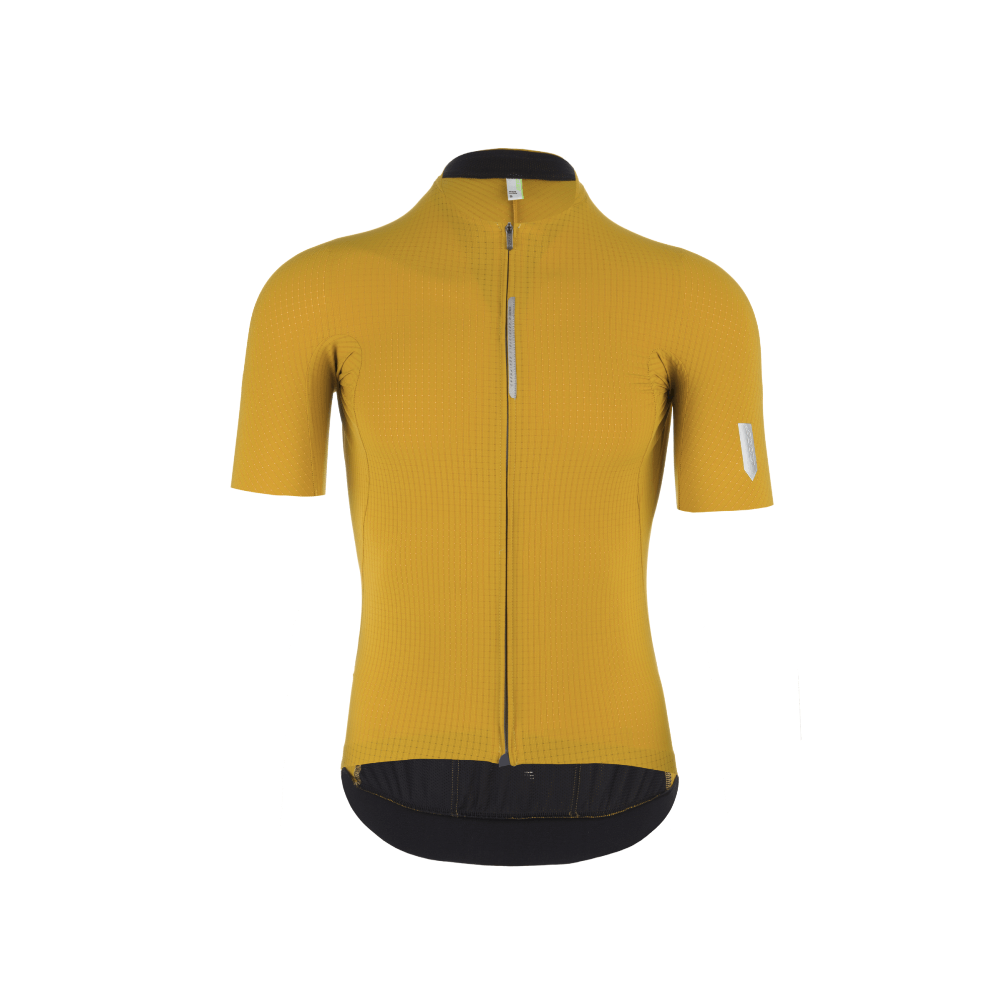 Maillot Q36.5 Dottore Pro Curry
