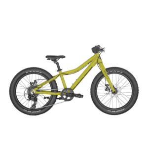 Scott Roxter 20¨